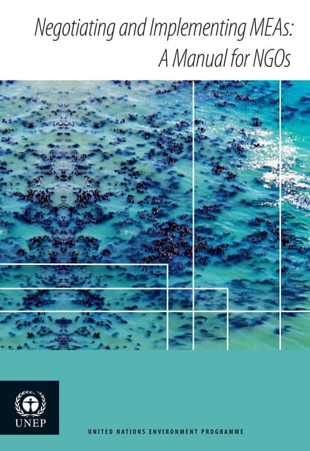 Negotiating and Implementing MEAs: ...