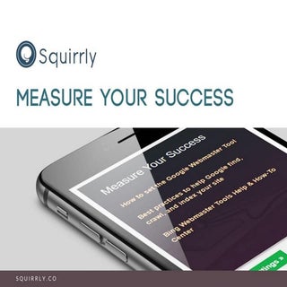 How to Use Squirrly's Measure Your ...