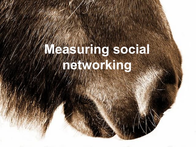 Measuring The Impact Of Social Networking