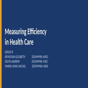 Comprehensive Approaches to Measuring and Improving Efficiency in ...