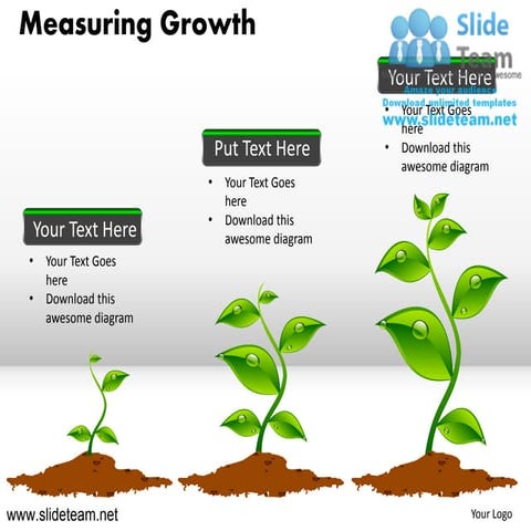 Measuring growth plant growing step by step pencil graph.. | PDF