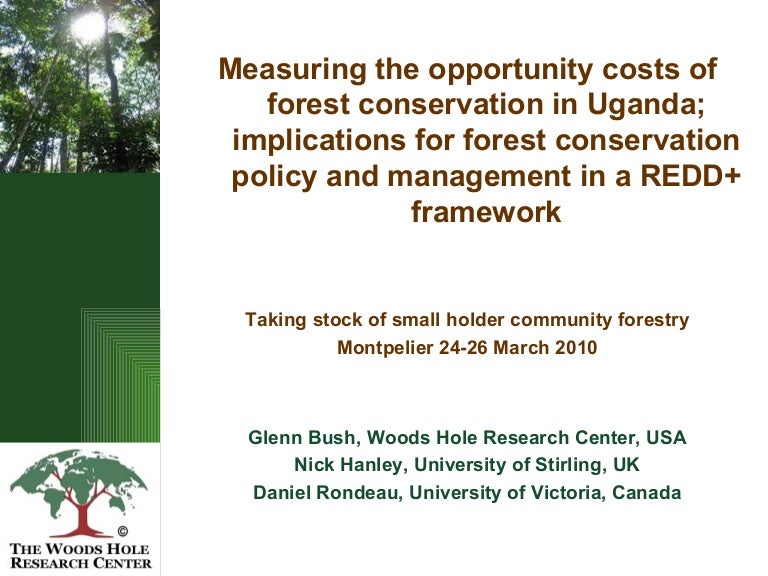 thumbnail of  Measuring the opportunity costs of forest conservation in Uganda: Implications for forest conservation policy and management in a REDD+ framework