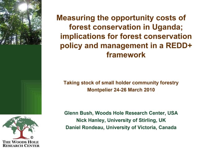 Measuring the opportunity costs of forest conservation in Uganda: Implications for forest conservation policy and management in a REDD+ framework