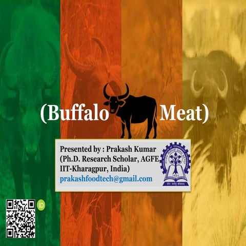 Food Product Development from Buffalo Meat