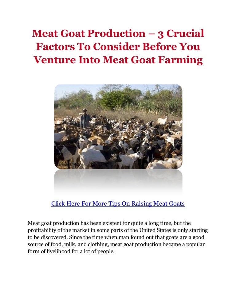 Meat Goat Production 3 Crucial Factors To Consider Before You Ventu…