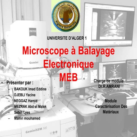 microscope à balayage Electronique 