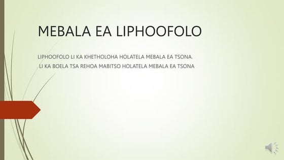 LIBOKO TSA BASOTHO.pptx