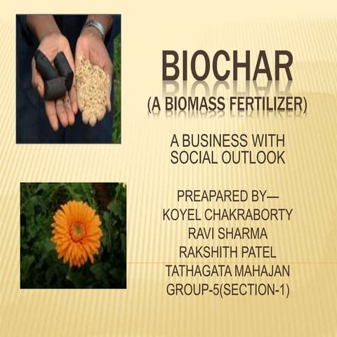 Managerial Ecnomis about biomass fertilizer - Biochar