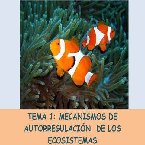 Recursos y usos de la biosfera