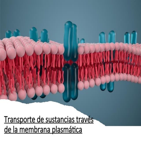 Mecanismos-de-transporte-celular (fisiología).ppt