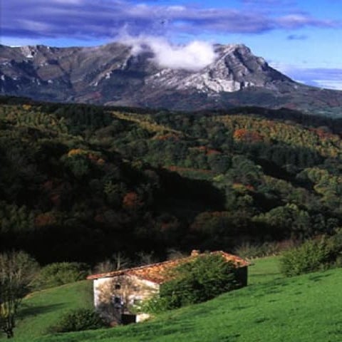 Mecanismos De Transporte I Y Ii Completa