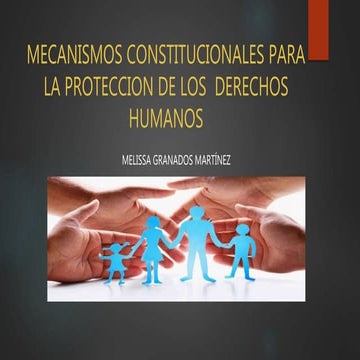 Mecanismos para la proteccion de los derechos humanos | PPTX