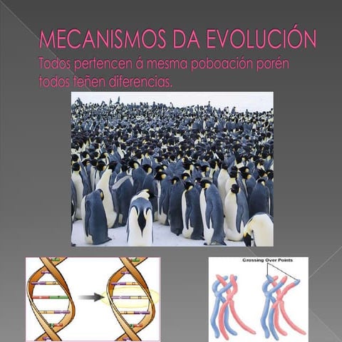 Mecanismos da evolución