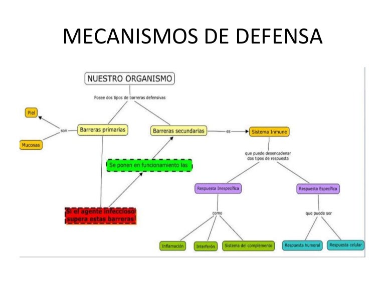 Mecanismos de defensa Mecanismos de defensa