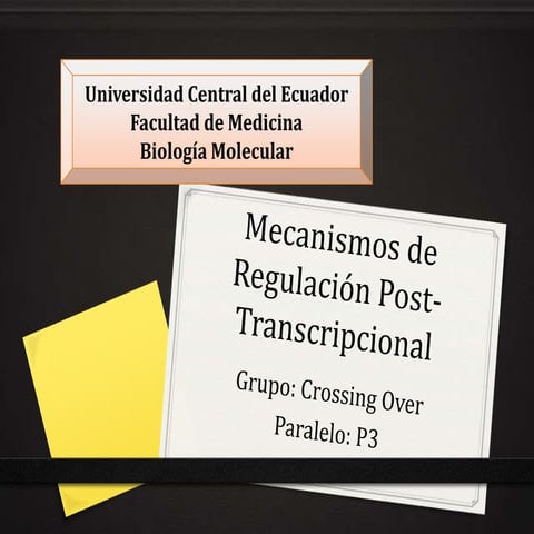 Regulación Postranscripcional y traduccional. PPT