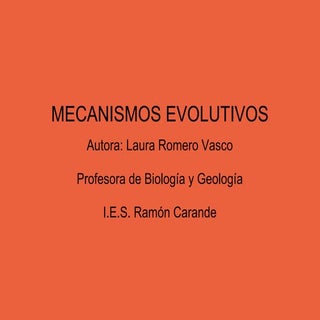 Mecanismos evolutivos