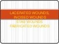cutting and stabbing wounds criminal documentation mechanical injury