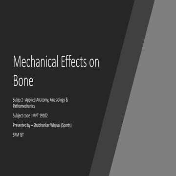 Mechanical Properties Of Bone
