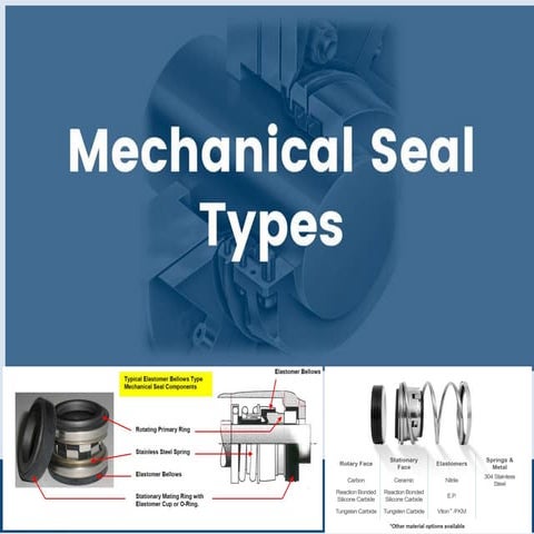 Mechanical Mechanical Mechanical Seal Types.pdf
