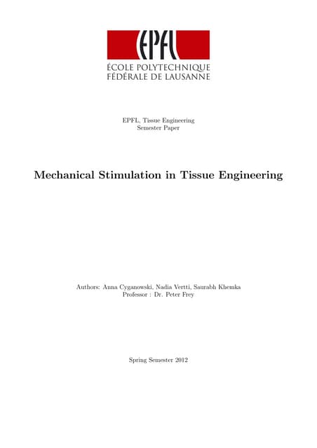 Mechanical simulations in tissue engineering