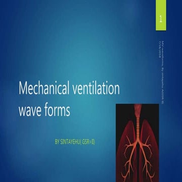 Mechanical ventilation wave forms