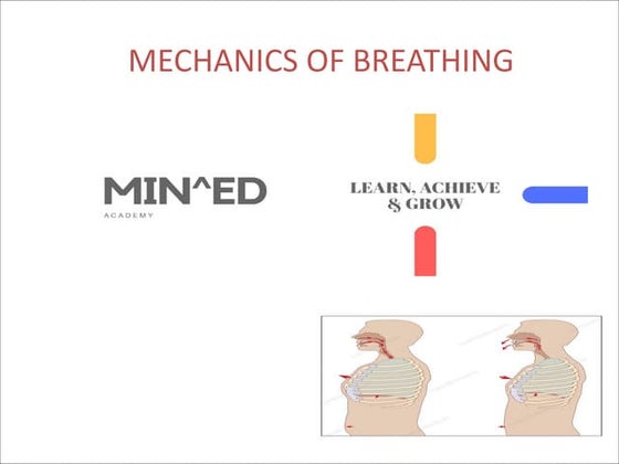 Movements of thoracic wall | PPTX
