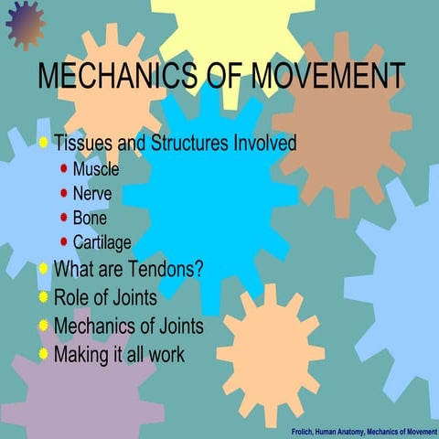 Mechanics of movement of joints