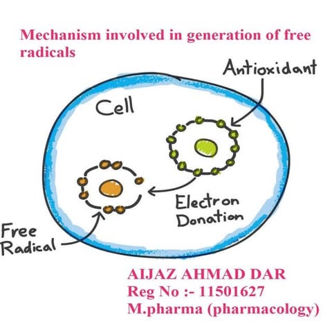Mechanisim and generation of free radicals
