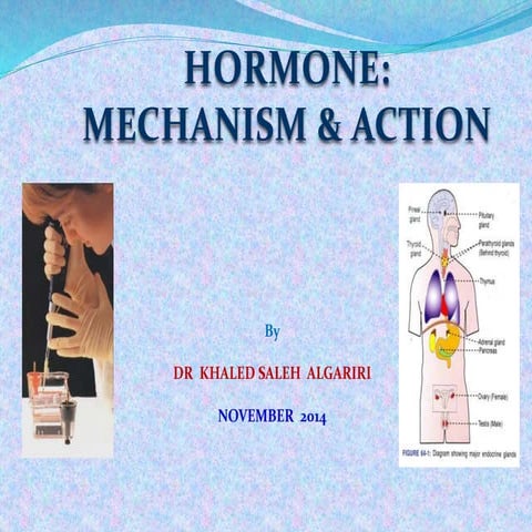Mechanism & action hormone