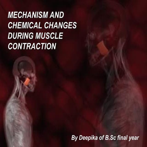 Mechanism and chemical changes occuring during muscle contraction | PPT