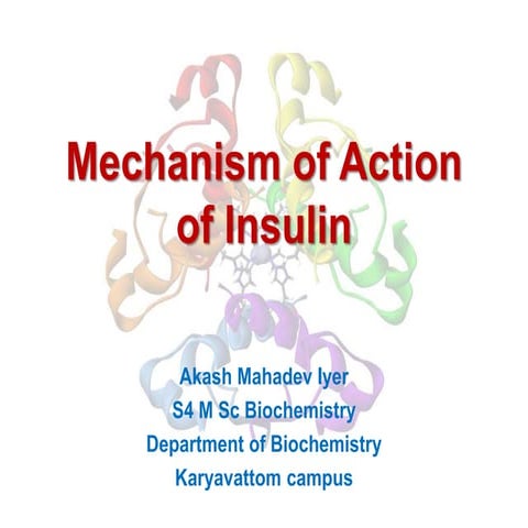 Mechanism of action of insulin