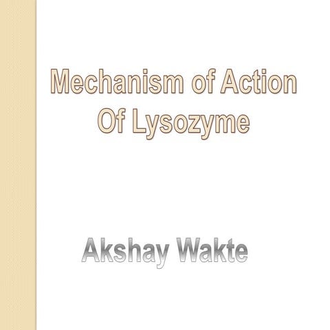 Mechanism of action of lysozyme