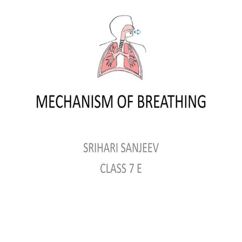 Mechanism of breathing