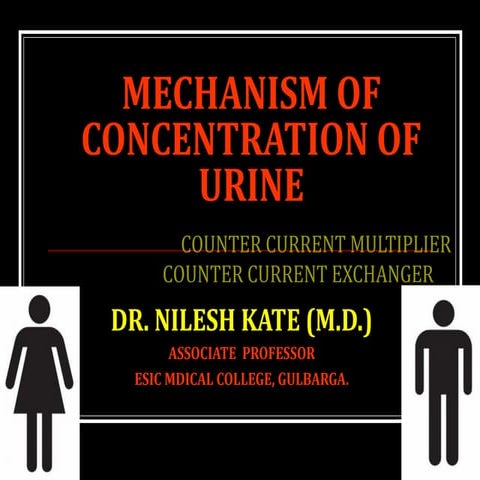 MECHANISM OF CONCENTRATION OF URINE