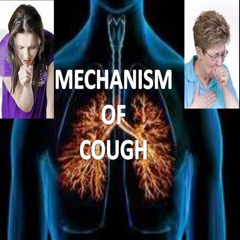 Mechanism of cough