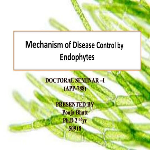 Mechanism of disease control by endophytes