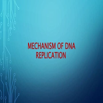 Mechanism of dna replication