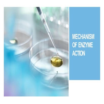 Mechanism of Enzyme Action           00.pptx