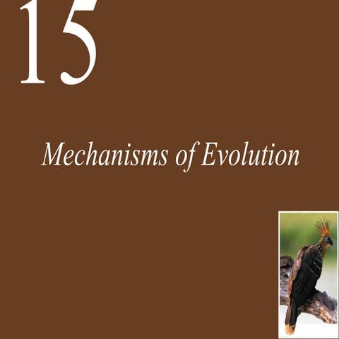 Mechanism of Evolution 1.pptx