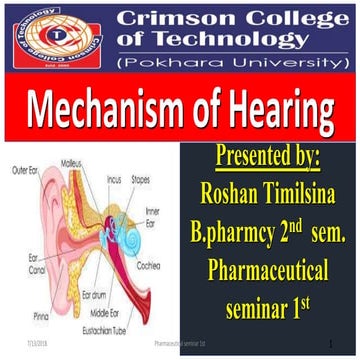 Mechanism of Hearing (presentation)