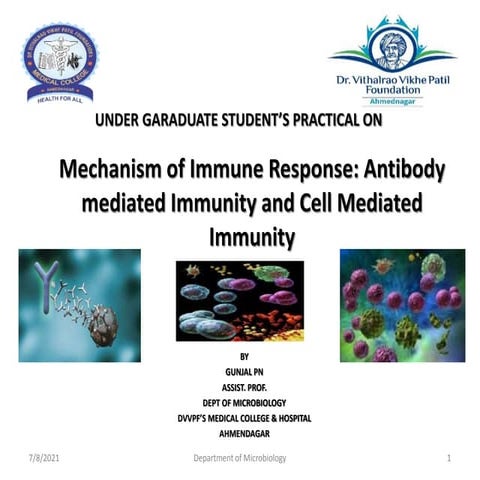 Mechanism of immune response ami and cmi