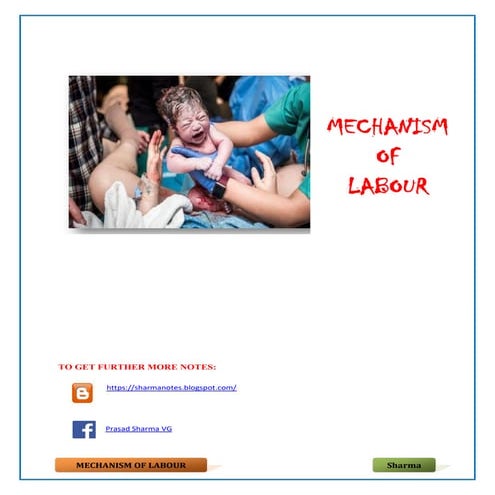 Mechanism of labour