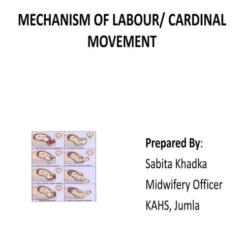 Mechanism of labour