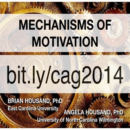 Mechanisms of Motivation: 5 C’s for Promoting Creative Productive Giftedness