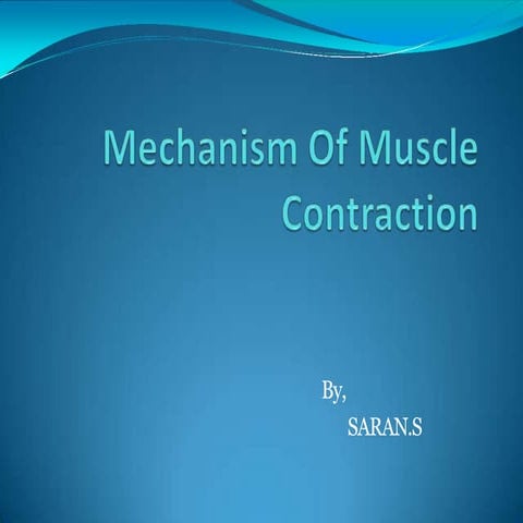 Mechanism of muscle contraction (saran.s)