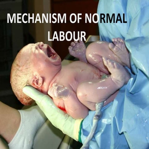 Mechanism of normal labour