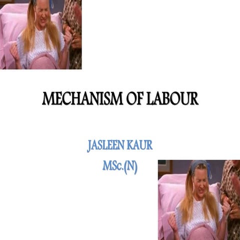 Mechanism of normal labour