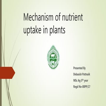 Mechanism of nutrient uptake in plants