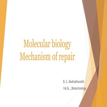 Mechanism of repair