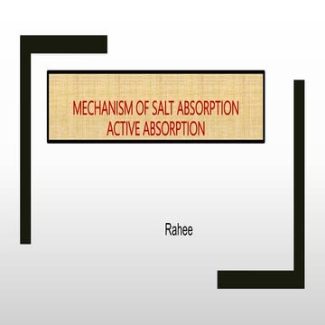Mechanism of salt absorption and active absorption